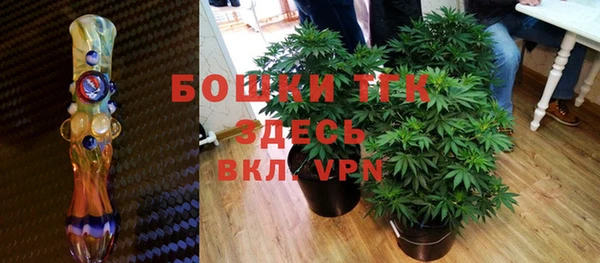шишки Беломорск