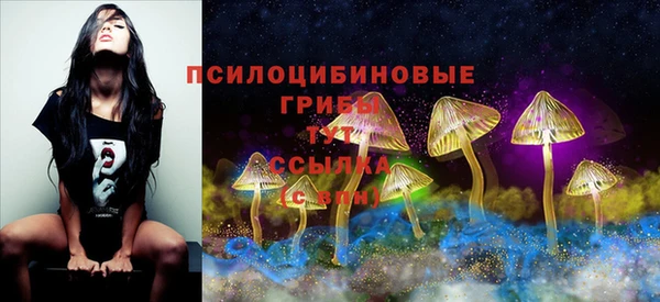 твердый Белоозёрский