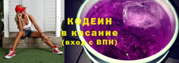 шишки Беломорск