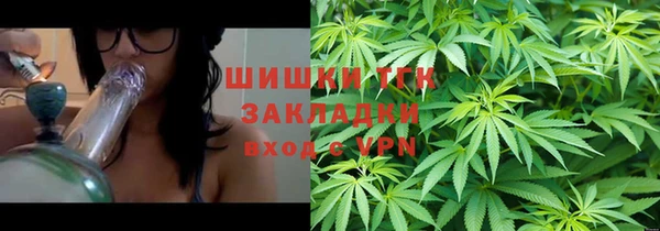 шишки Беломорск