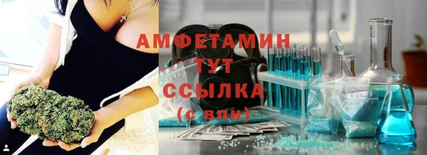 шишки Беломорск