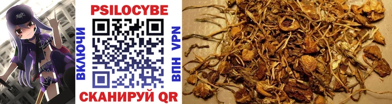 darknet телеграм  закладка  Воркута  Галлюциногенные грибы ЛСД 